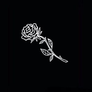 Meet your Posher, Tanner